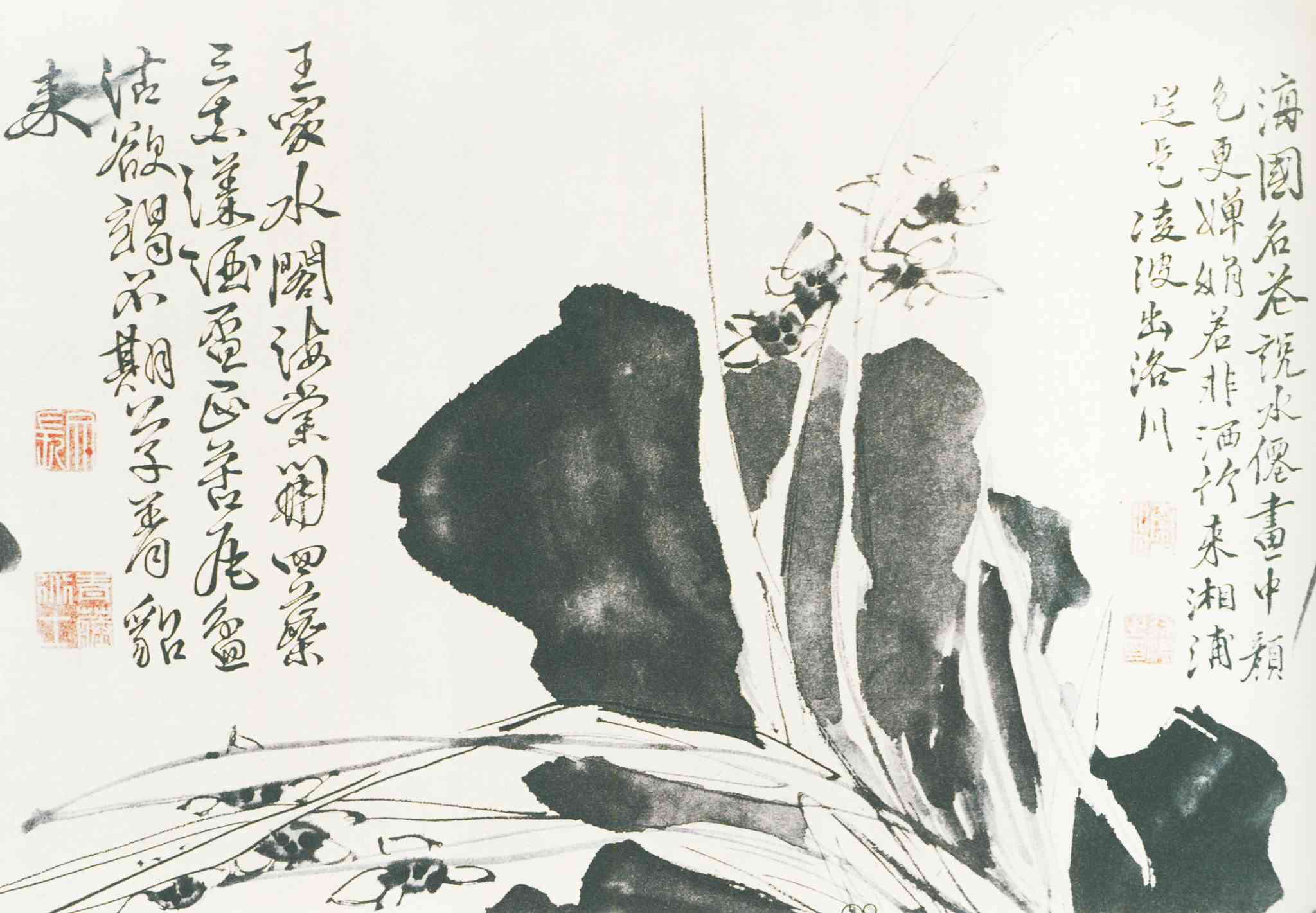 新“岁寒三友”，它们是谁？