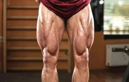 练肌肉为什么人老了会后悔(练肌肉更困难)-2 练肌肉为什么人老了会后悔(练肌肉更困难)-2