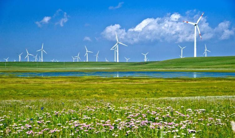 头交是什么意思 一体五交是哪5个地方-4 头交是什么意思 一体五交是哪5个地方-4