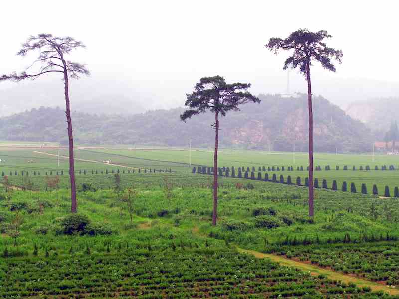 从中原到江南:解密南宋六陵-5 从中原到江南:解密南宋六陵