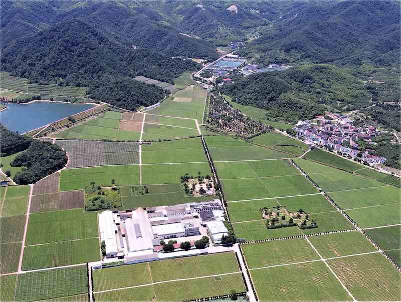 从中原到江南:解密南宋六陵-2 从中原到江南:解密南宋六陵