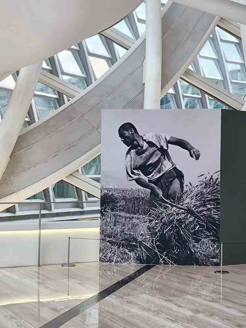 四十位摄影师镜头里的中国面孔：庄严、荒诞、坚毅、悲情-6