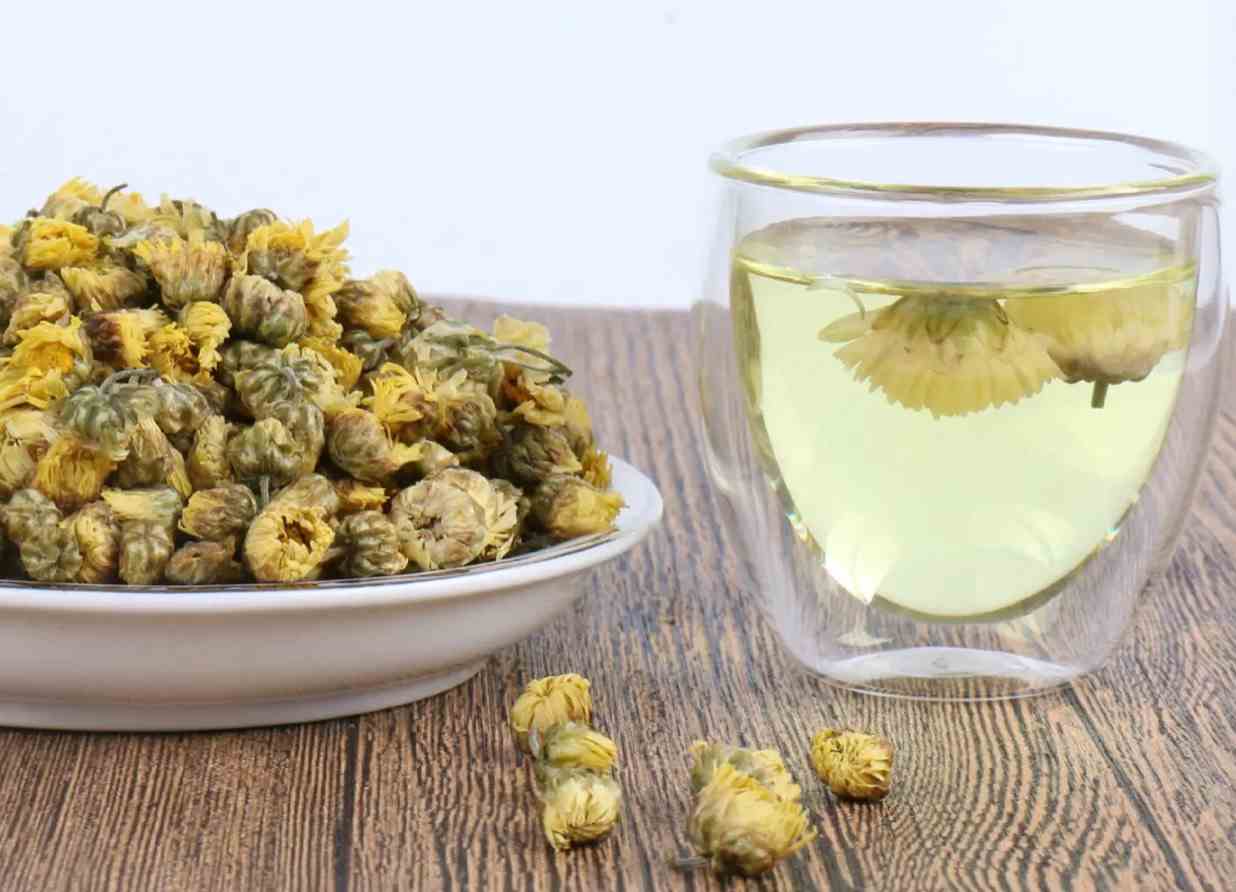 “菊花是茶,茶药交融”:菊花茶与百年前的“夏日经济”-1 “菊花是茶,茶药交融”:菊花茶与百年前的“夏日经济”-1