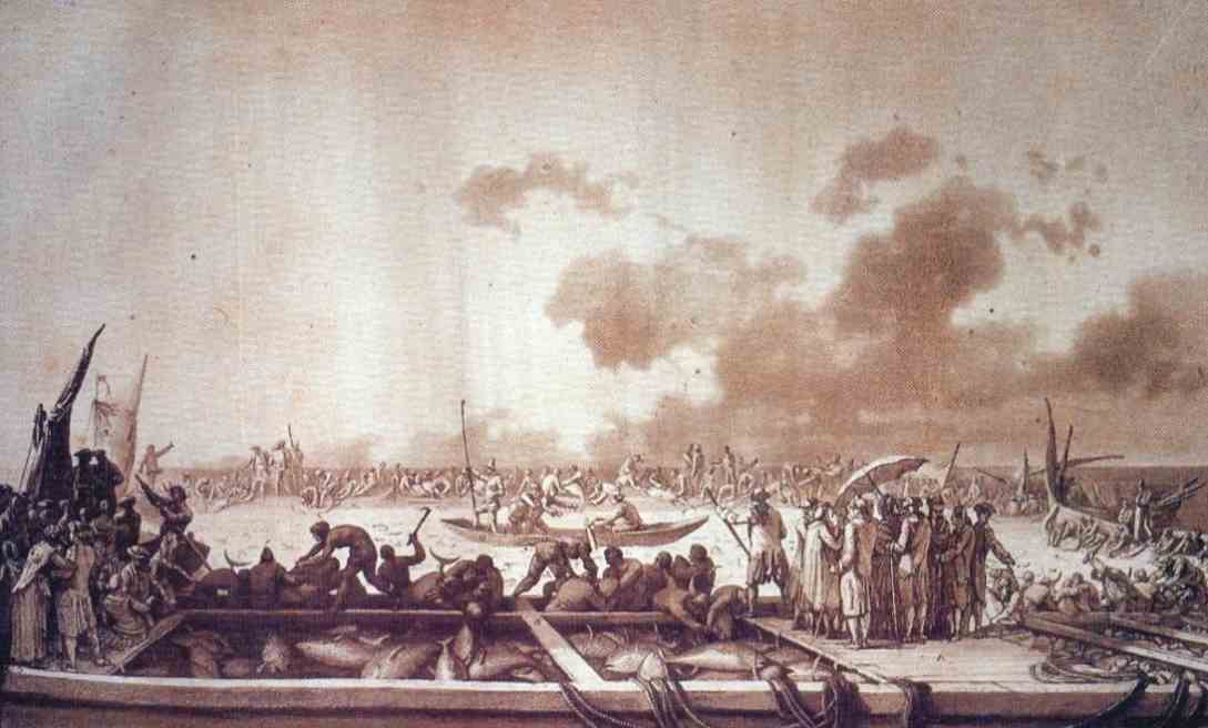 读《鱼宴》：文明的尽头是圈养-4