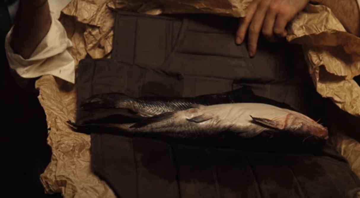 读《鱼宴》：文明的尽头是圈养-3