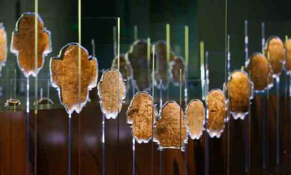 回望2024：博物馆里的特展，留下哪些惊鸿一瞥-39