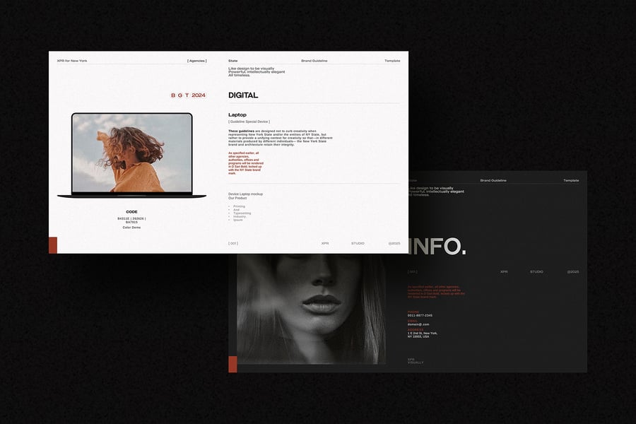 品牌指南模板PPT模板素材包-8