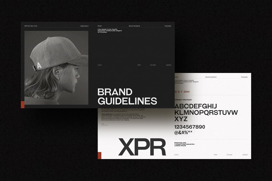 品牌指南模板PPT模板素材包-2